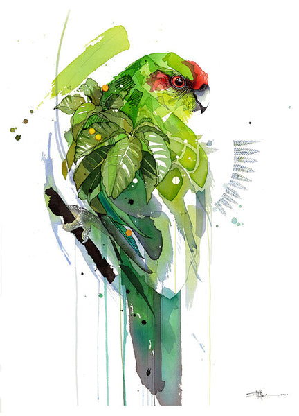 Kākāriki Green print by Rachel Walker